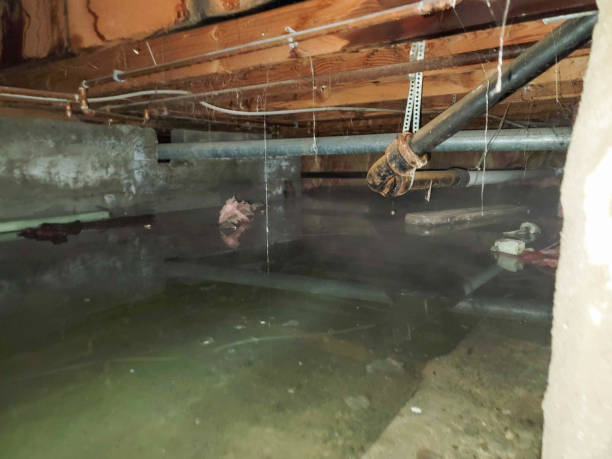 Best Water damage restoration near me  in Rossford, OH