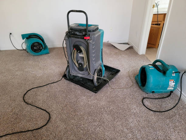 Best Water damage restoration company  in Rossford, OH