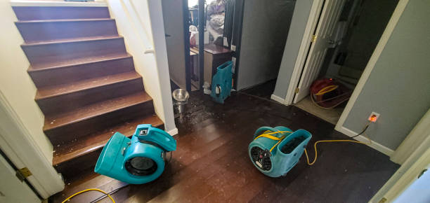  Rossford, OH Water damage restoration Pros