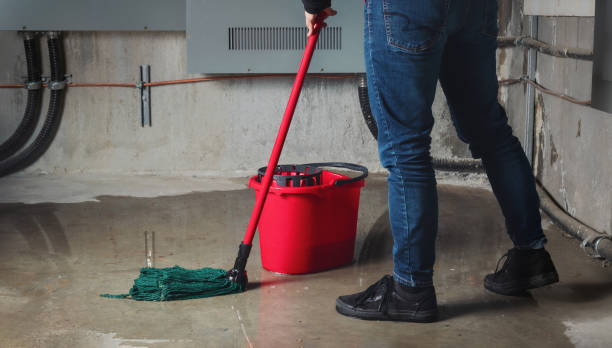 Best Carpet water damage restoration  in Rossford, OH