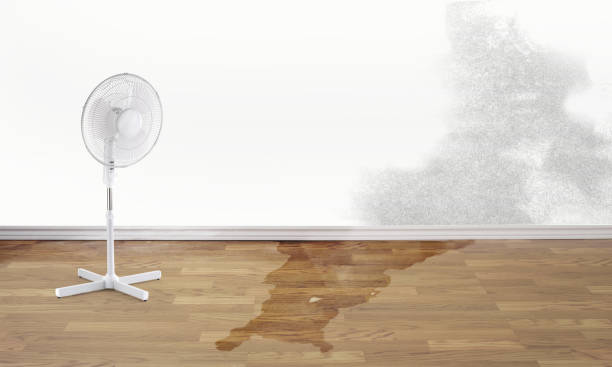 Best Residential water damage restoration  in Rossford, OH