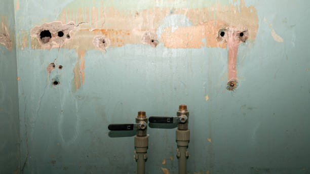 Best 24/7 water damage repair  in Rossford, OH