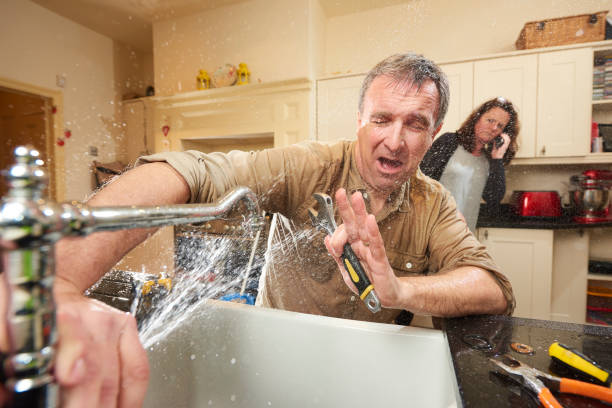 Best Water damage restoration process  in Rossford, OH